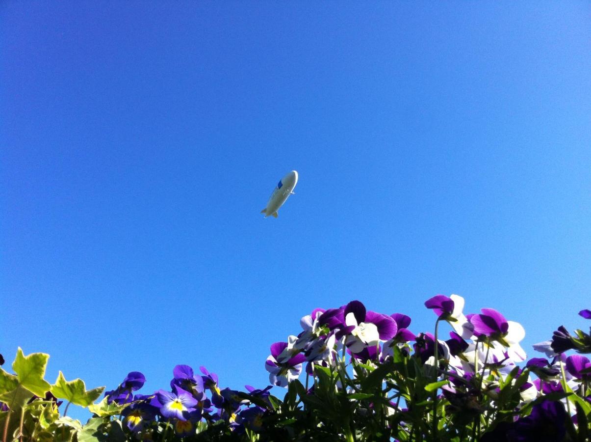Apfelbluete Bed & Breakfast 8 Km Vom Bodensee ザーレム エクステリア 写真