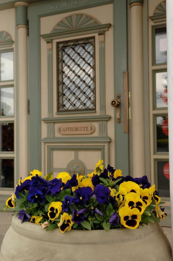 Apfelbluete Bed & Breakfast 8 Km Vom Bodensee ザーレム エクステリア 写真